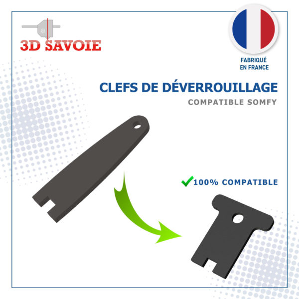 clef de remplacement pour motirisation de portail somfy sgs evolvia slidymoove