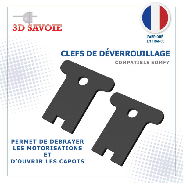 clef outil déverrouillage ouverture compatible moteur somfy pour vis en H modèle evolvia sgs et autre